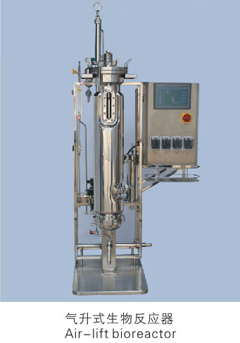 气升式不锈钢生物反应器