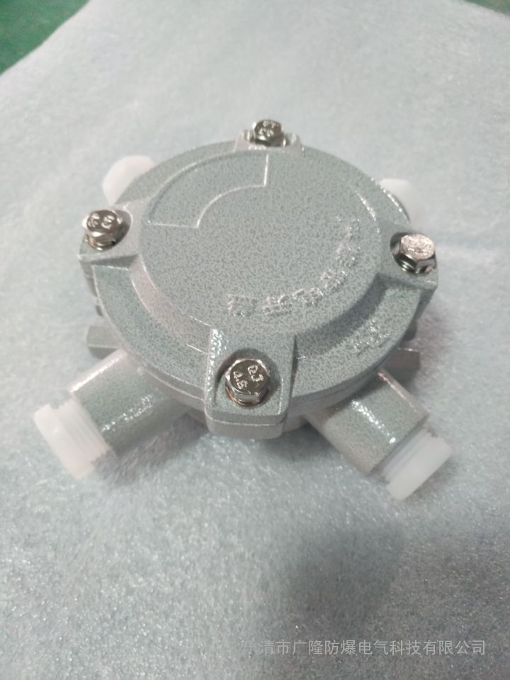 ߺG1/2DWF2 ExdIICT6ߺ