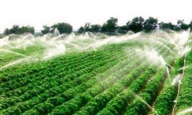 “云上田野”大田节水灌溉控制系统
