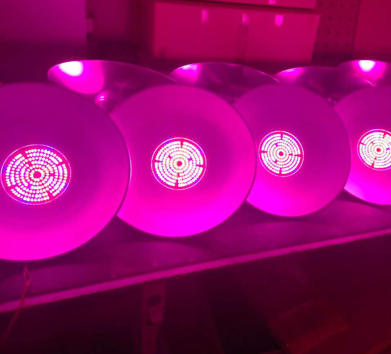 植物组织培养可以用普通日光灯代替组培灯 谷瀑环保