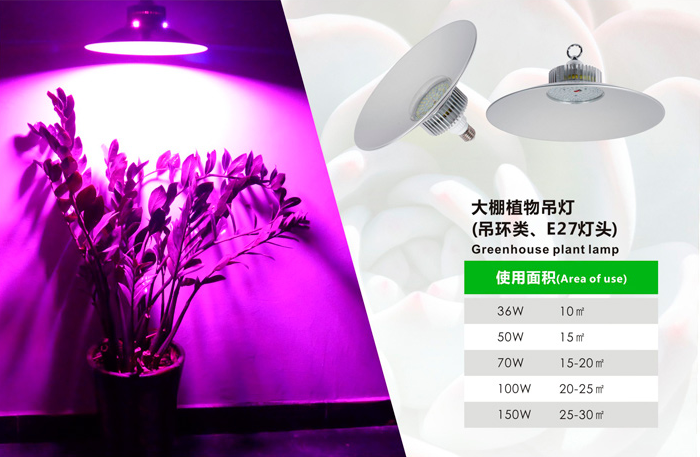 植物组织培养可以用普通日光灯代替组培灯 谷瀑环保