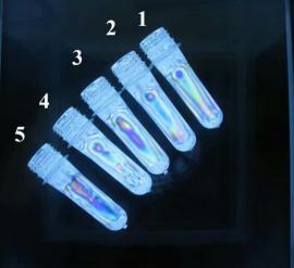 (SPET-801)PET塑料瓶坯定性应力偏光仪
