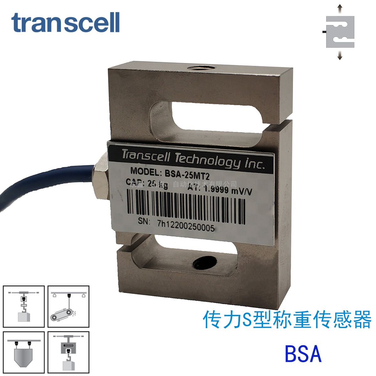 transcell Sͳش  BSA