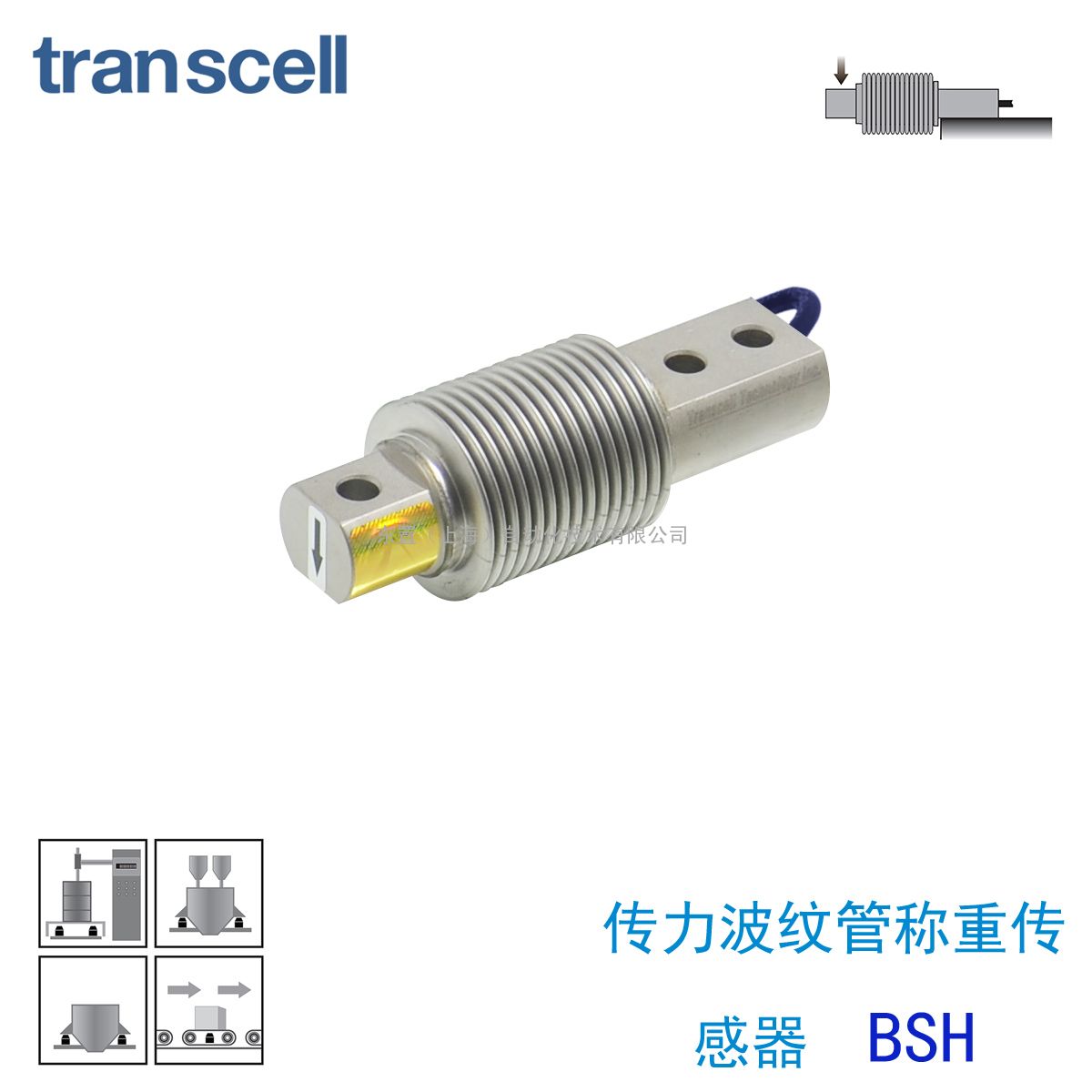 transcell   ƹ ش BSH