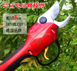 綯֦ 綯֦ 綯԰ּ SCA2綯
