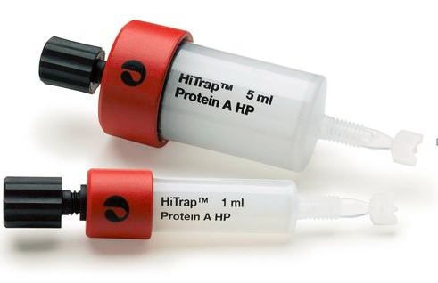 HisTrap rProtein A HP